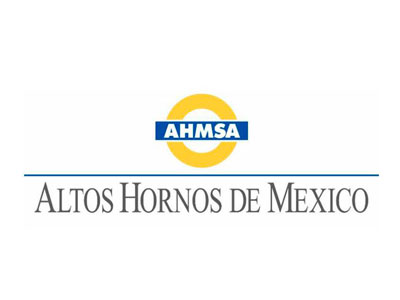 ahmsa logo